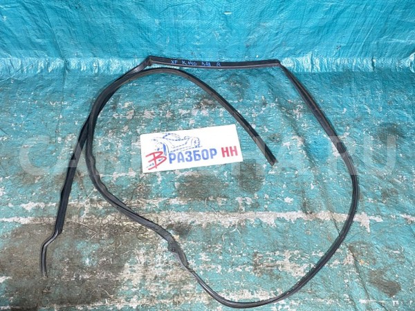 уплотнитель задней правой двери Jaguar XF I Jaguar XF оригинальный номер C2Z11446  /  8X23250A20AE